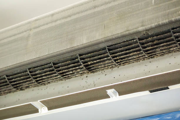 Best Air Duct Cleaning Near Me  in Mentone, CA